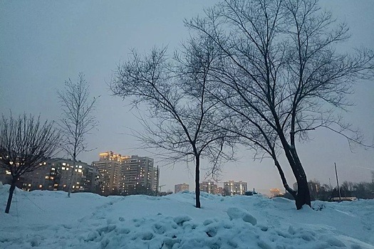 Начало марта в Новосибирской области будет снежным и холодным