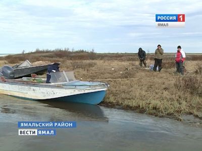 Природе Ямала браконьеры вредят больше, чем освоение месторождений