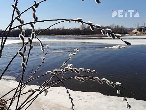 Ветер поднимется в Приморье в четверг