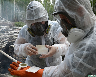 В Брянской области тушат торфяной пожар