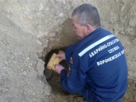 В Центральном районе Воронежа во время уборки нашли минометную мину