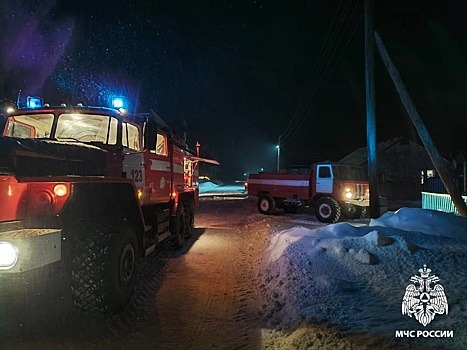 В Новосибирской области за сутки в пожарах погибли два человека