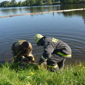 В Рязани в пруду обнаружили труп неизвестного мужчины