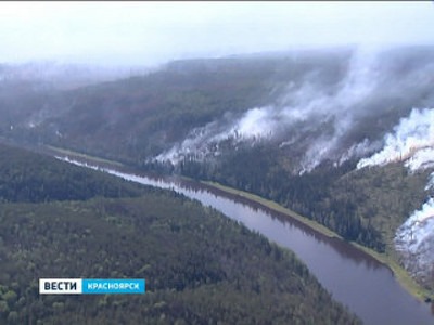 В Саяно-Шушенском заповеднике (Красноярский край) ликвидирован крупнейший с начала 2015 г. лесной пожар на ООПТ на площади 1250 га