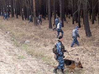 В томской тайге нашли трёх детей рядом с умершей в пути бабушкой